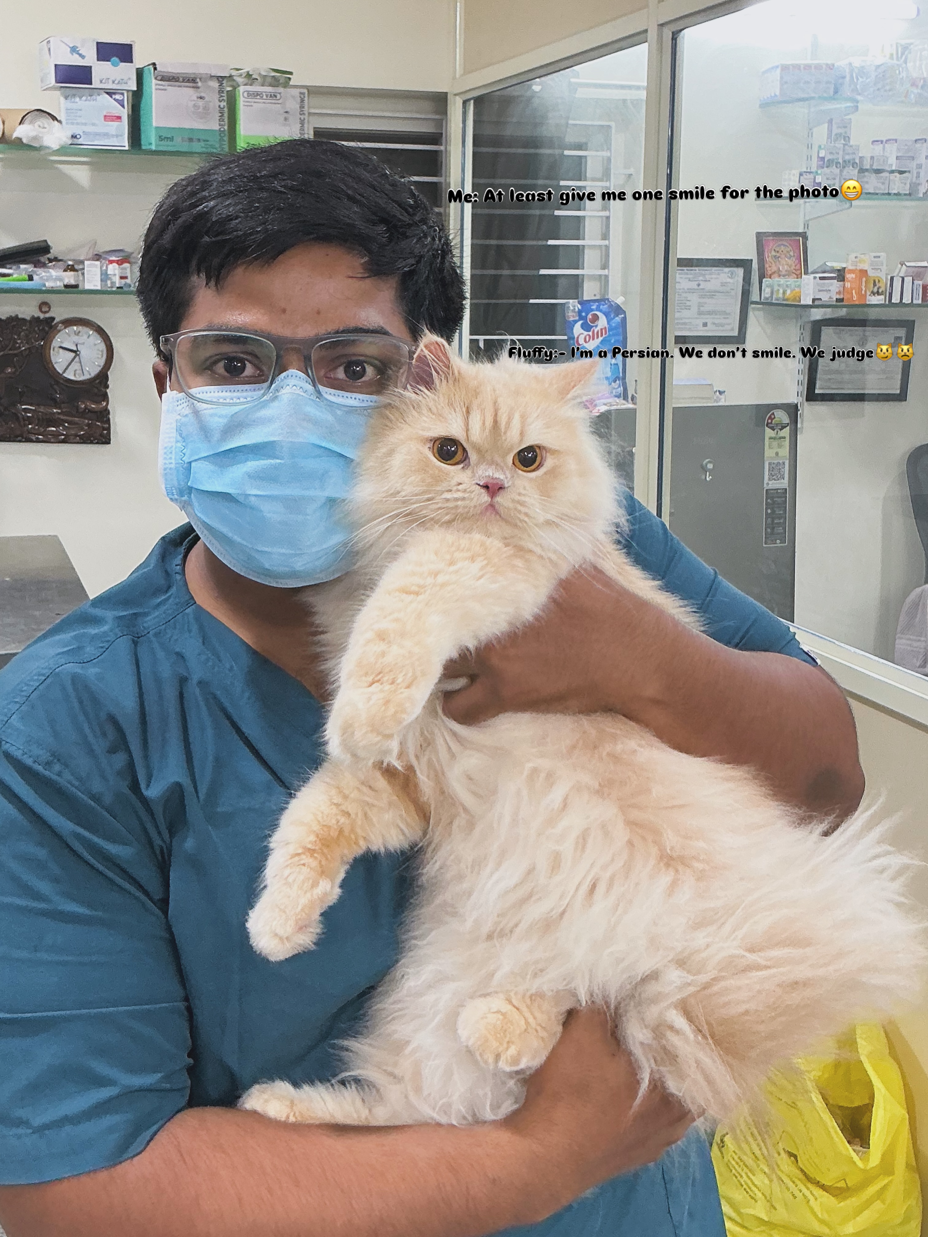 Dr. Manideep Gunukula holding Fluffy, a Persian cat, during a check-up at Usha Veterinary Hospital